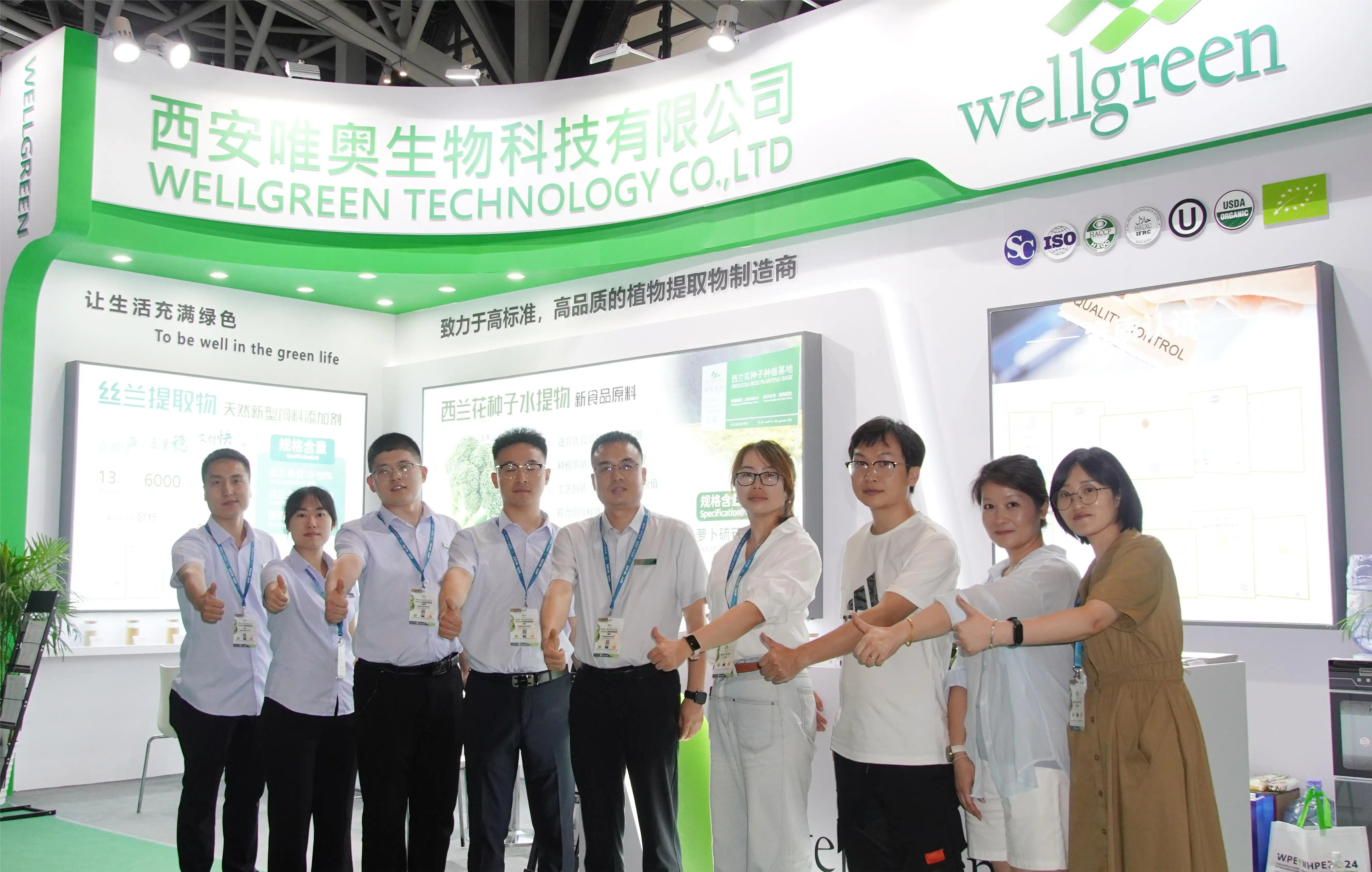 wellgreen exhibition