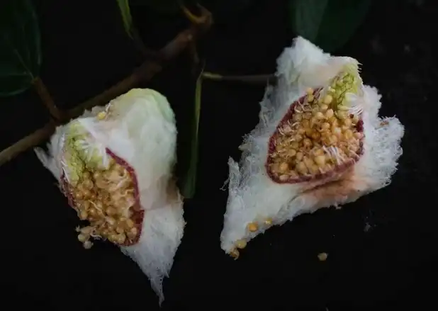 blog-618-439 blog-618-439