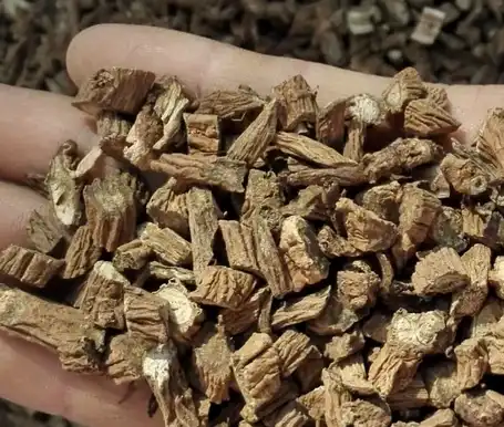 Himalayan Teasel Root Extract Himalayan Teasel Root Extract