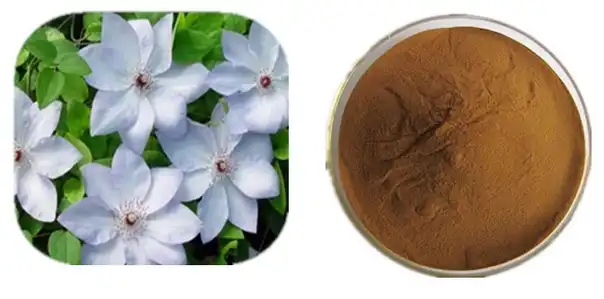 Clematis vitalba leaf extract