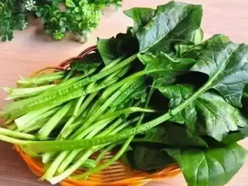 spinach extract