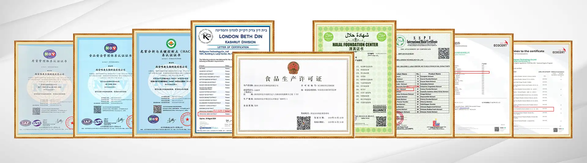 certificate certificate