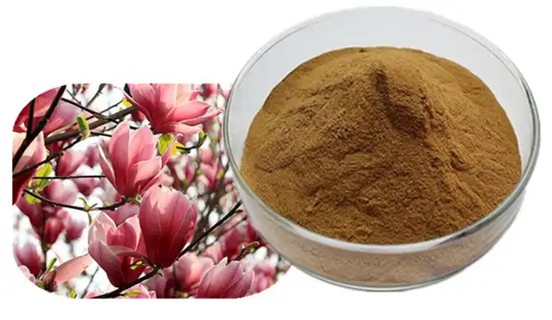 Magnolia Liliiflora Extract