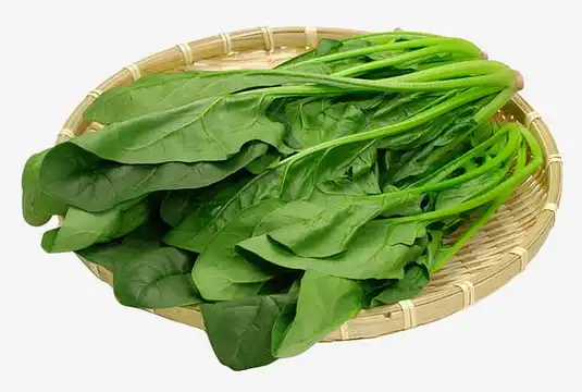 Spinach Extract Powder