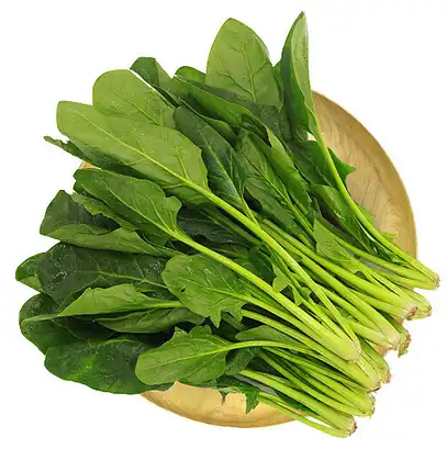 Organic spinach extract