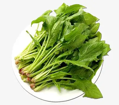 Organic Spinach powder Organic Spinach powder