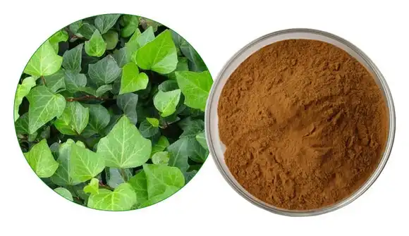 Ivy leaf extract