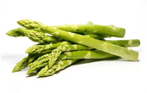 asparagus racemosus root extract 