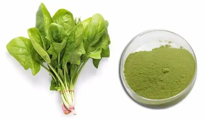 organic spinach extract