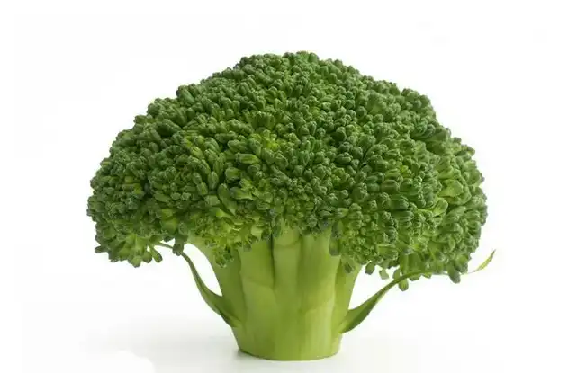 broccoli powder broccoli powder