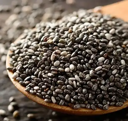 Salvia Hispanica Seed Extract Salvia Hispanica Seed Extract