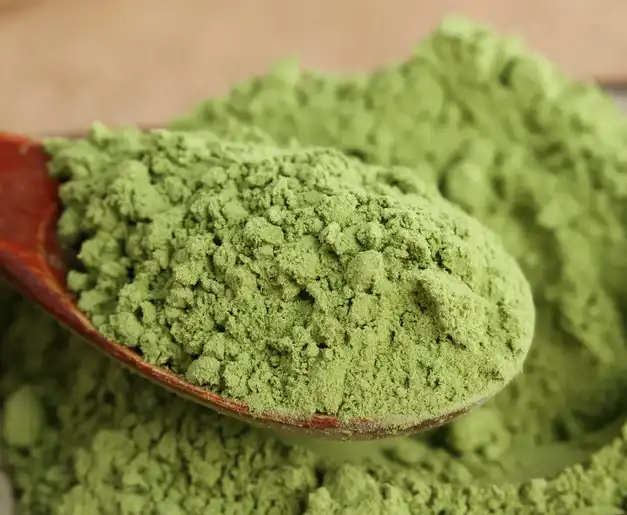 spinach extract powder