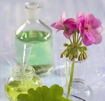 Geranium oil extract