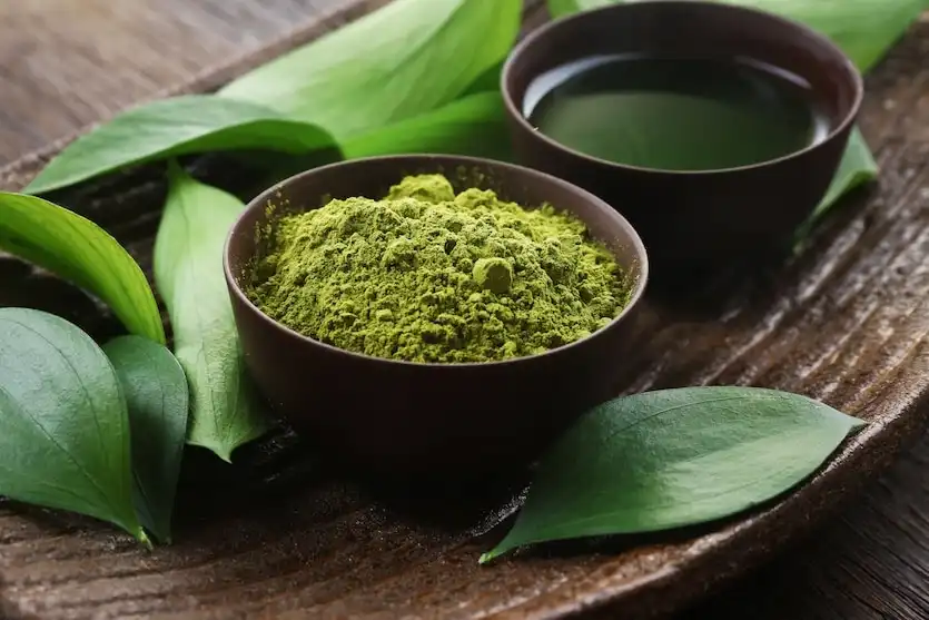 Green tea extract powder Green tea extract powder