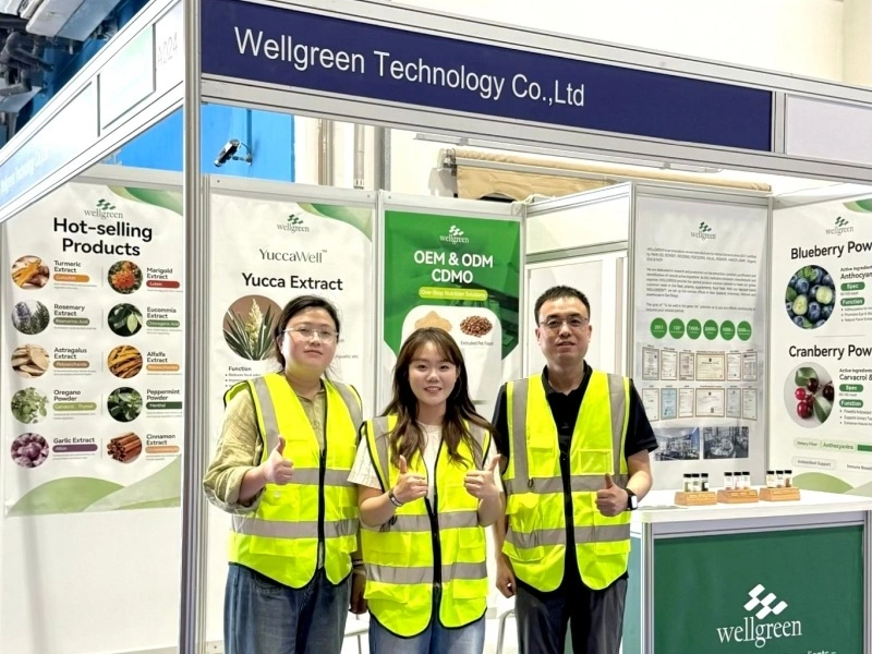 The professional Wellgreen team members standing together in front of their booth at the exhibition. The professional Wellgreen team members standing together in front of their booth at the exhibition.