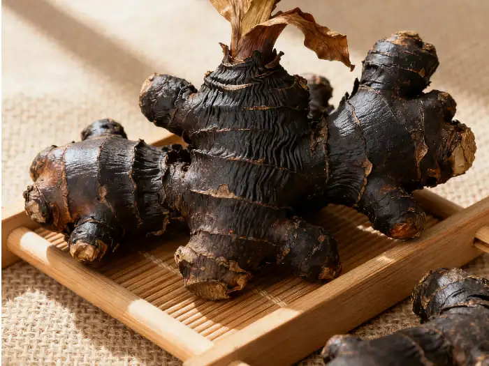 black ginger extract powder black ginger extract powder