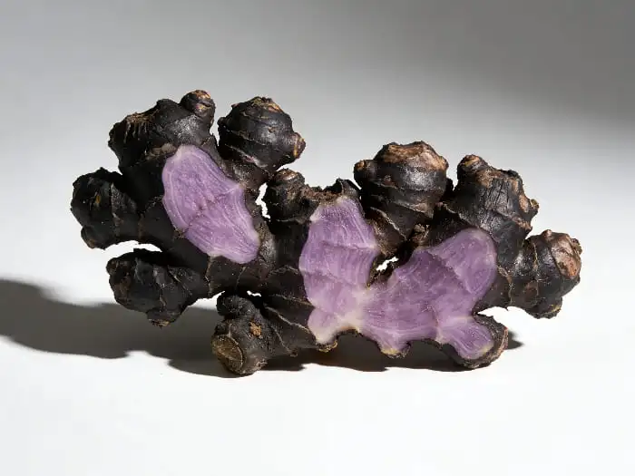 Black ginger extract Black ginger extract