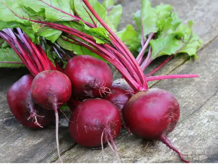 Beetroot extract Beetroot extract