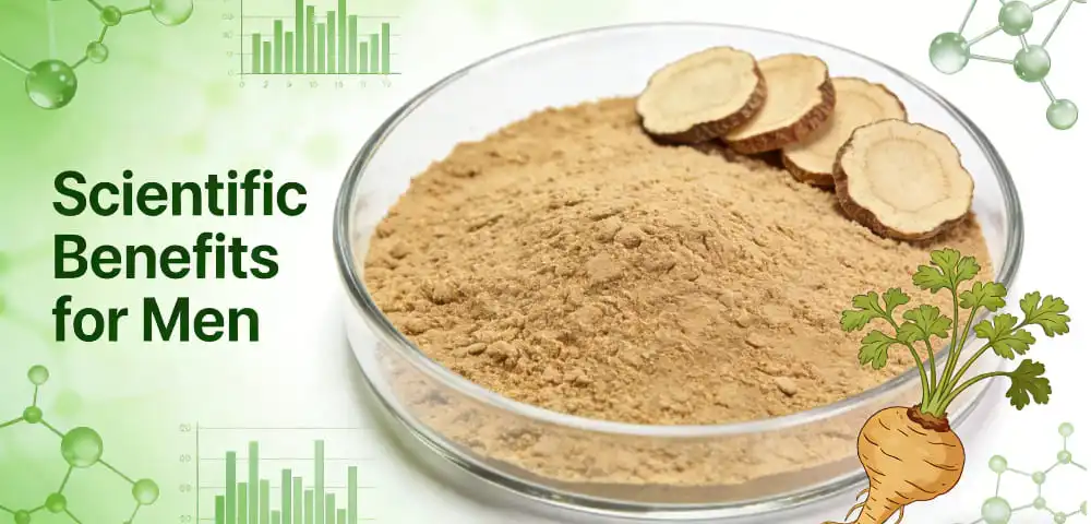 Scientific Evidence and Benefits of Maca Root Extract for Men Scientific Evidence and Benefits of Maca Root Extract for Men