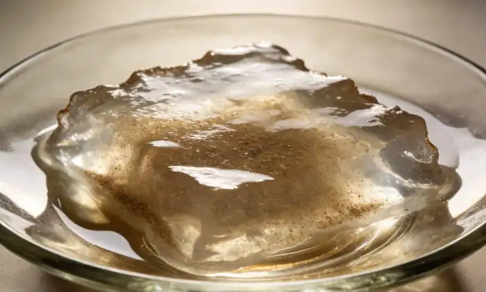 Psyllium Husk Powder Psyllium Husk Powder