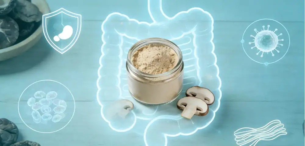 Scientific Insights Into How Organic Shiitake Powder Supports Gut and Immune Health Scientific Insights Into How Organic Shiitake Powder Supports Gut and Immune Health
