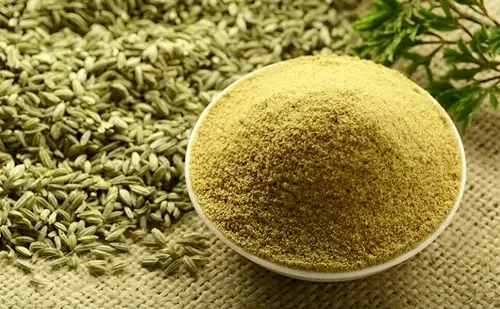 Fennel Seed Extract Powder