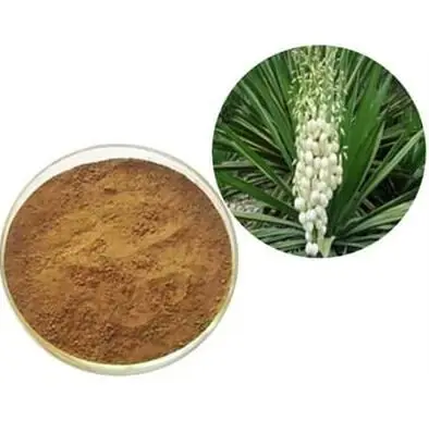 yucca-extract-powder yucca-extract-powder