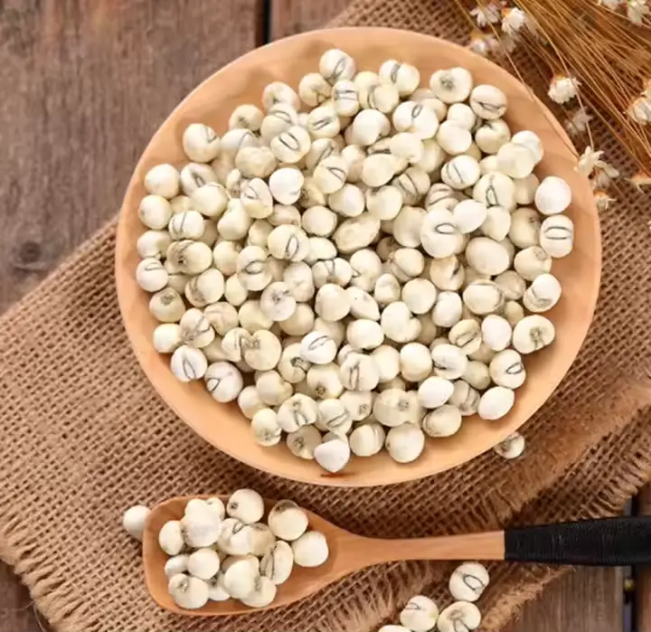 fritillaria-extract fritillaria-extract