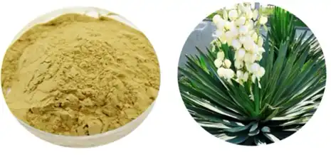 yucca-extract powder yucca-extract powder