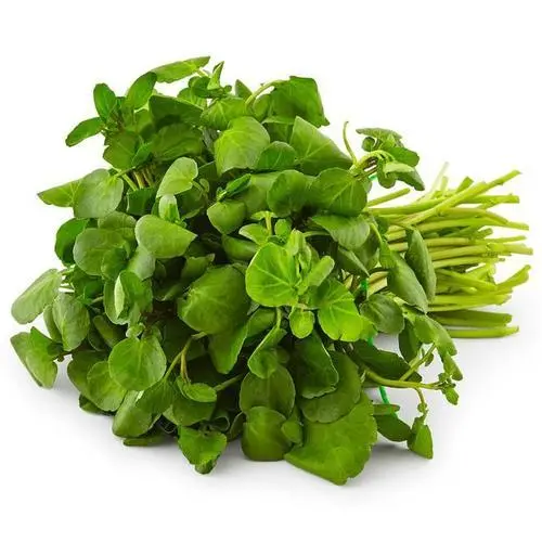 Watercress Extract Powder