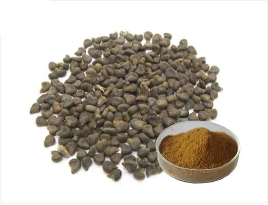 Malva Verticillata Extract Malva Verticillata Extract