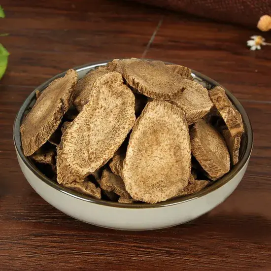 Aplotaxis Auriculata Aplotaxis Auriculata