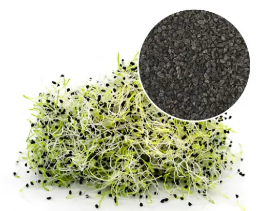 leek-extract leek-extract