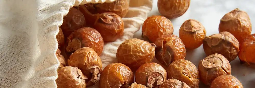 Soapnut Soapnut