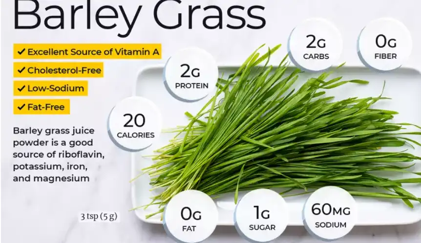 barley grass organic powder barley grass organic powder