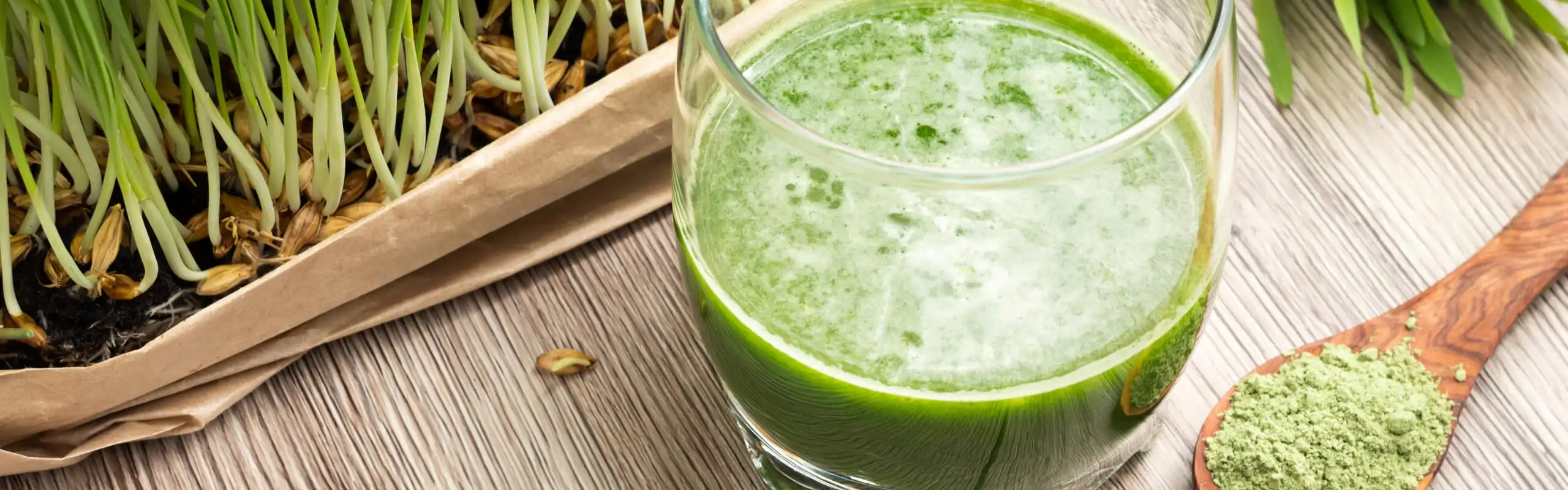 Barley Grass Benefits powder Barley Grass Benefits powder