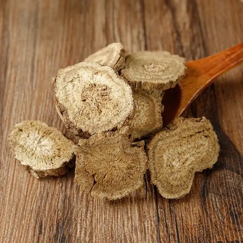 aplotaxis auriculata extract aplotaxis auriculata extract