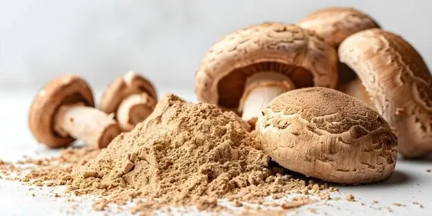 organic shiitake powder organic shiitake powder