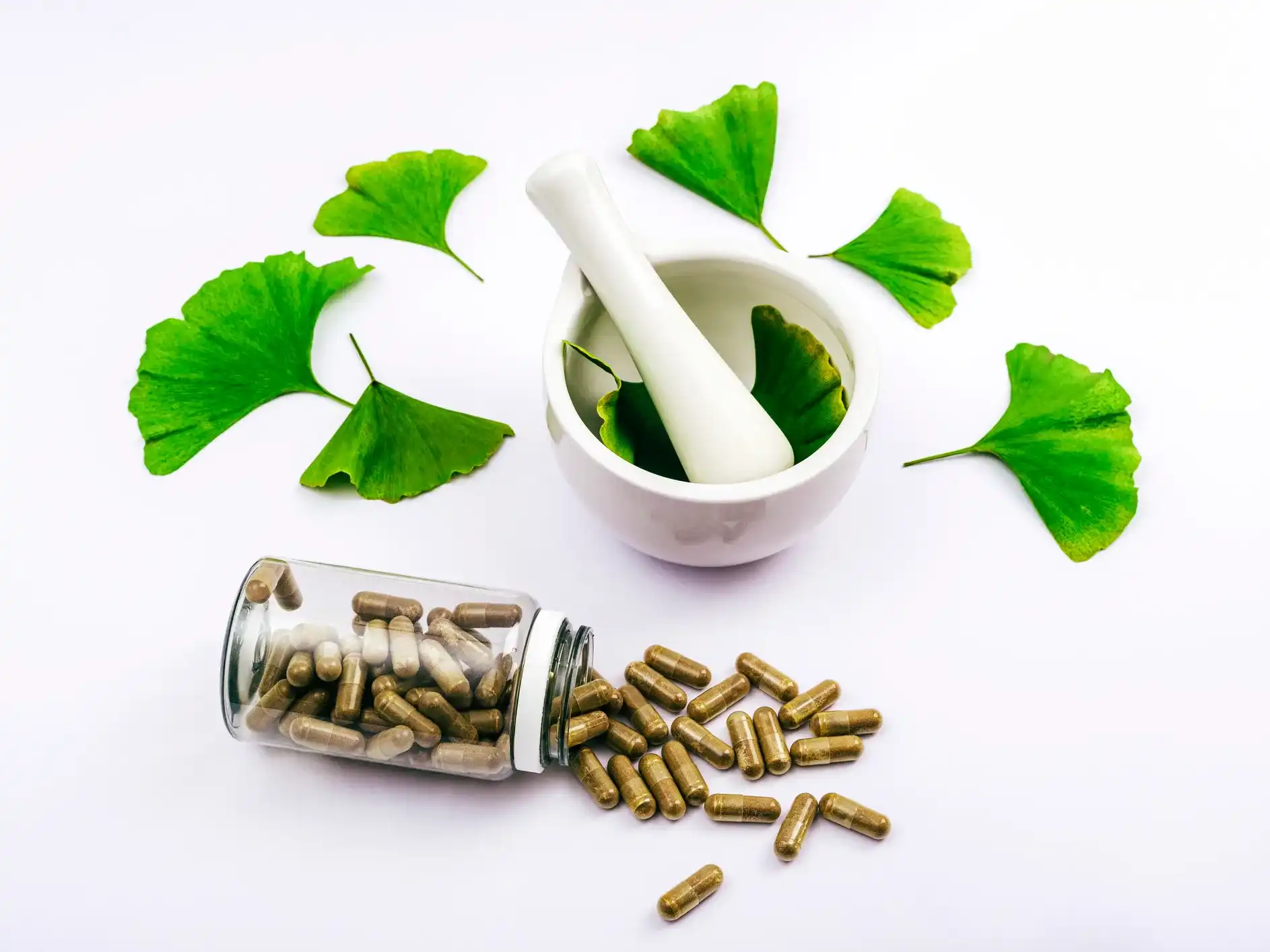 Ginkgo Biloba Extract Ginkgo Biloba Extract
