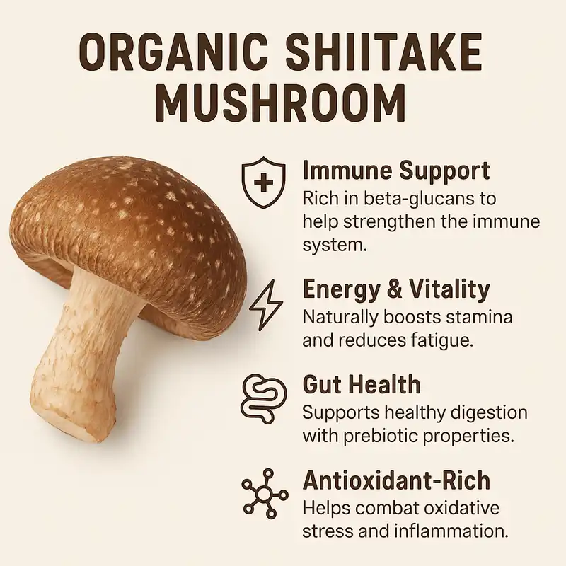 shiitake shiitake