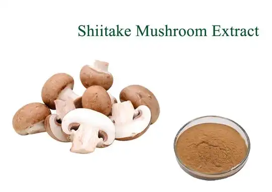 shiitake mushroom extract shiitake mushroom extract