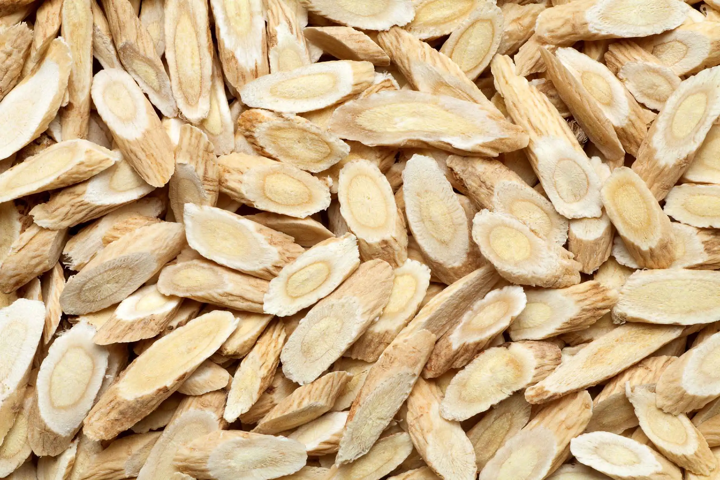 Astragalus-Membranaceus-Root-Extract Astragalus-Membranaceus-Root-Extract