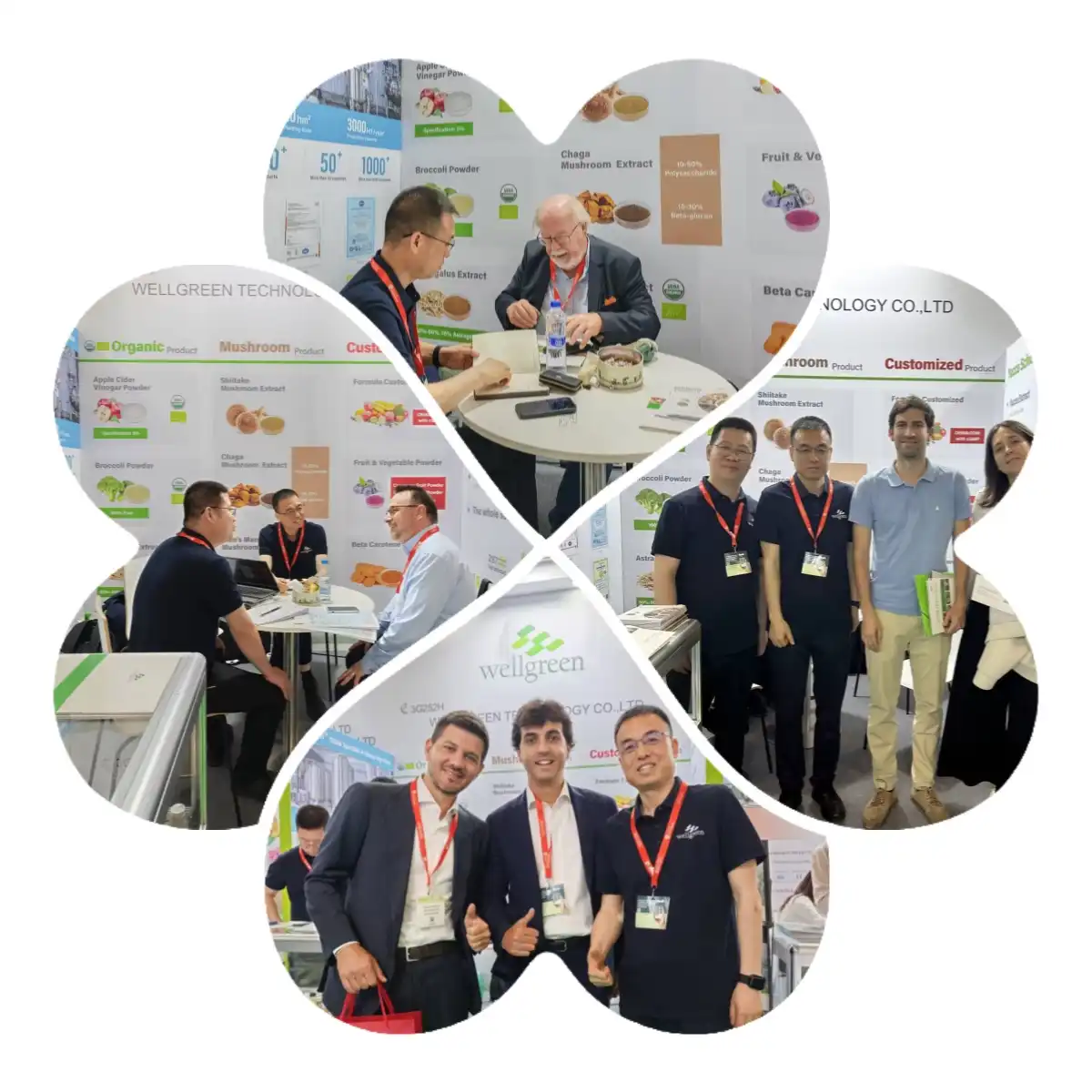 Vitafood Wellgreen Vitafood Wellgreen