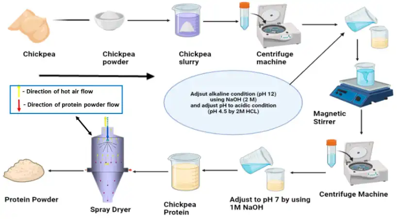 chickpea protein powder estraction chickpea protein powder estraction