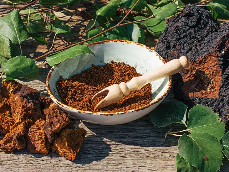Chaga Mushroom Extract Powder Chaga Mushroom Extract Powder