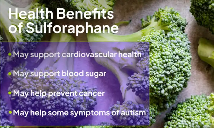 broccoli extract powder benefits broccoli extract powder benefits