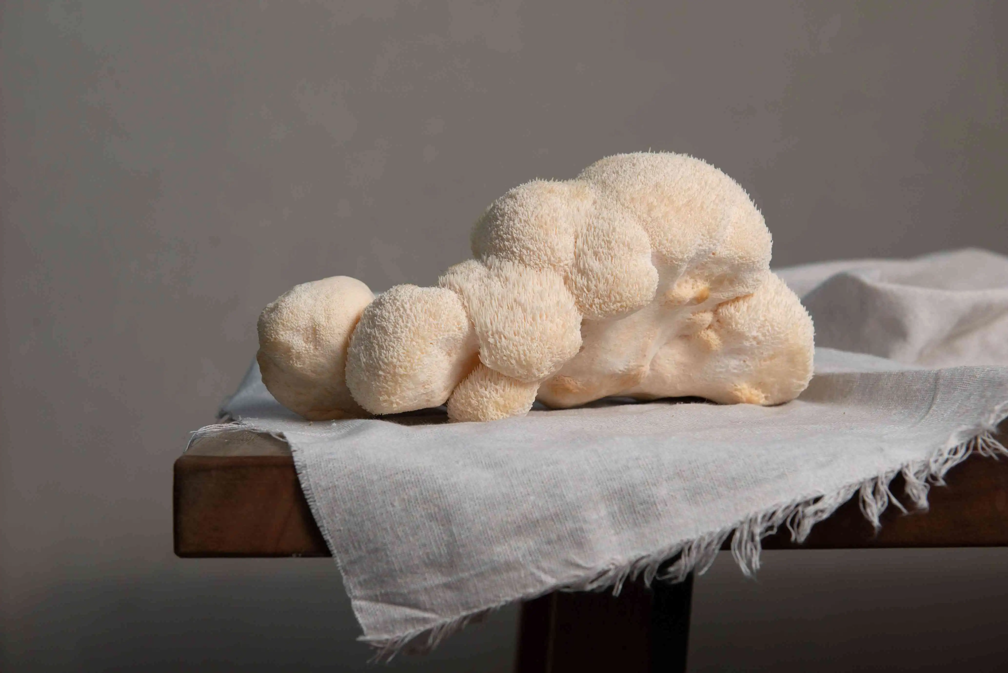 Lion's Mane Mushroom Extract Powder Lion's Mane Mushroom Extract Powder