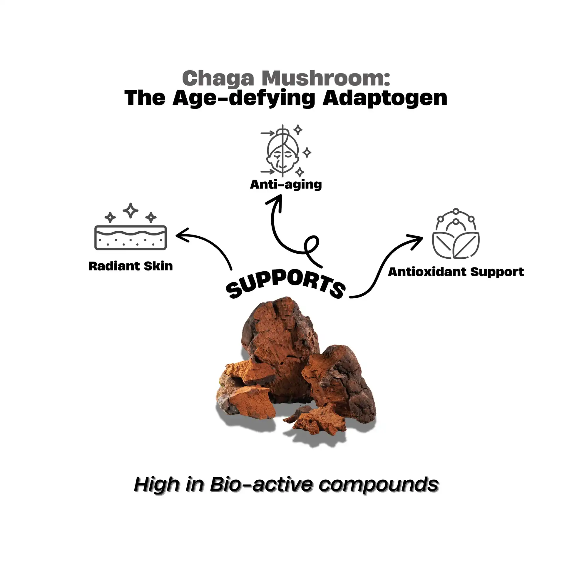 organic chaga powder organic chaga powder