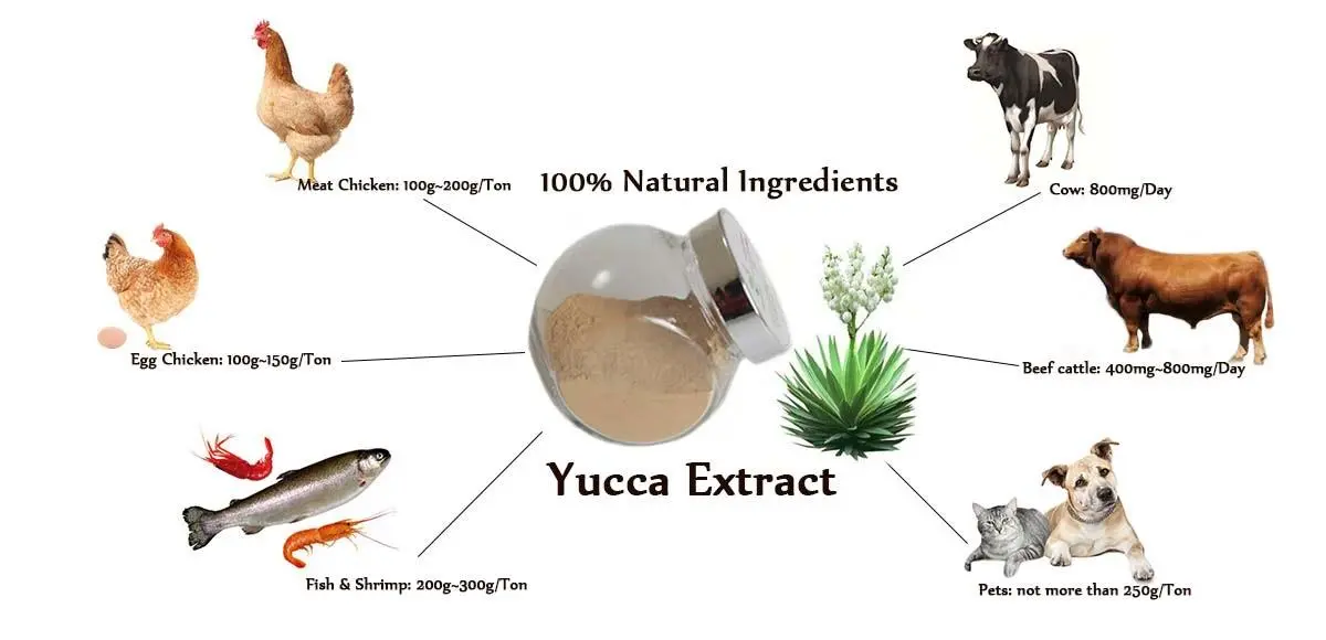 Yucca Extract Powder Yucca Extract Powder