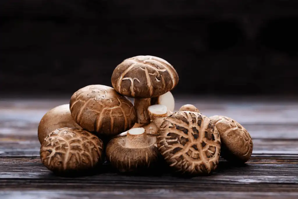 shiitake-mushrooms shiitake-mushrooms